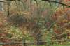 arnhem_011_small.jpg