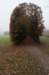arnhem_013_small.jpg