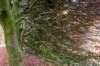 arnhem_016_small.jpg