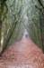 arnhem_017_small.jpg