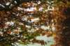 arnhem_018_small.jpg