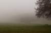 arnhem_020_small.jpg
