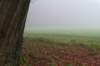 arnhem_021_small.jpg