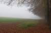 arnhem_022_small.jpg