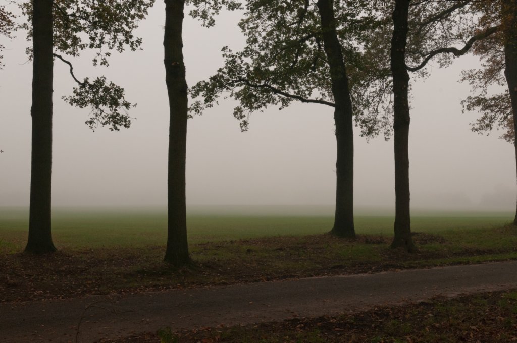 arnhem_023.jpg