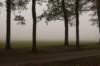 arnhem_023_small.jpg