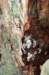 arnhem_024_small.jpg