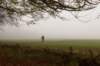 arnhem_025_small.jpg