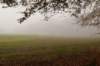arnhem_026_small.jpg