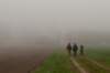 arnhem_027_small.jpg