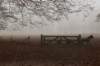 arnhem_029_small.jpg