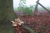 arnhem_033_small.jpg