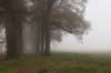 arnhem_035_small.jpg