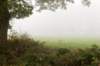 arnhem_036_small.jpg