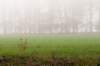 arnhem_037_small.jpg