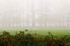 arnhem_038_small.jpg