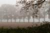 arnhem_039_small.jpg