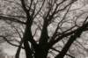 arnhem_040_small.jpg
