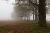 arnhem_041_small.jpg