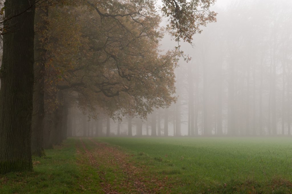 arnhem_042.jpg