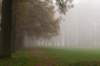 arnhem_042_small.jpg