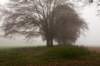 arnhem_043_small.jpg
