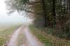 arnhem_044_small.jpg
