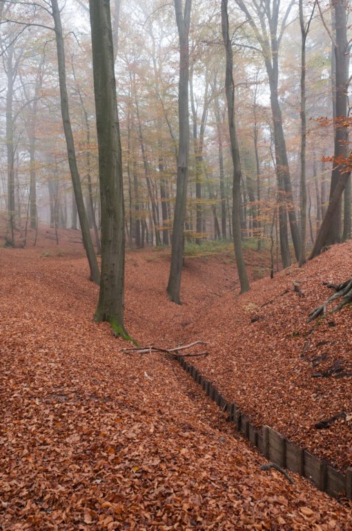 arnhem_045.jpg