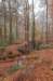 arnhem_047_small.jpg