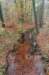 arnhem_048_small.jpg