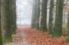 arnhem_052_small.jpg