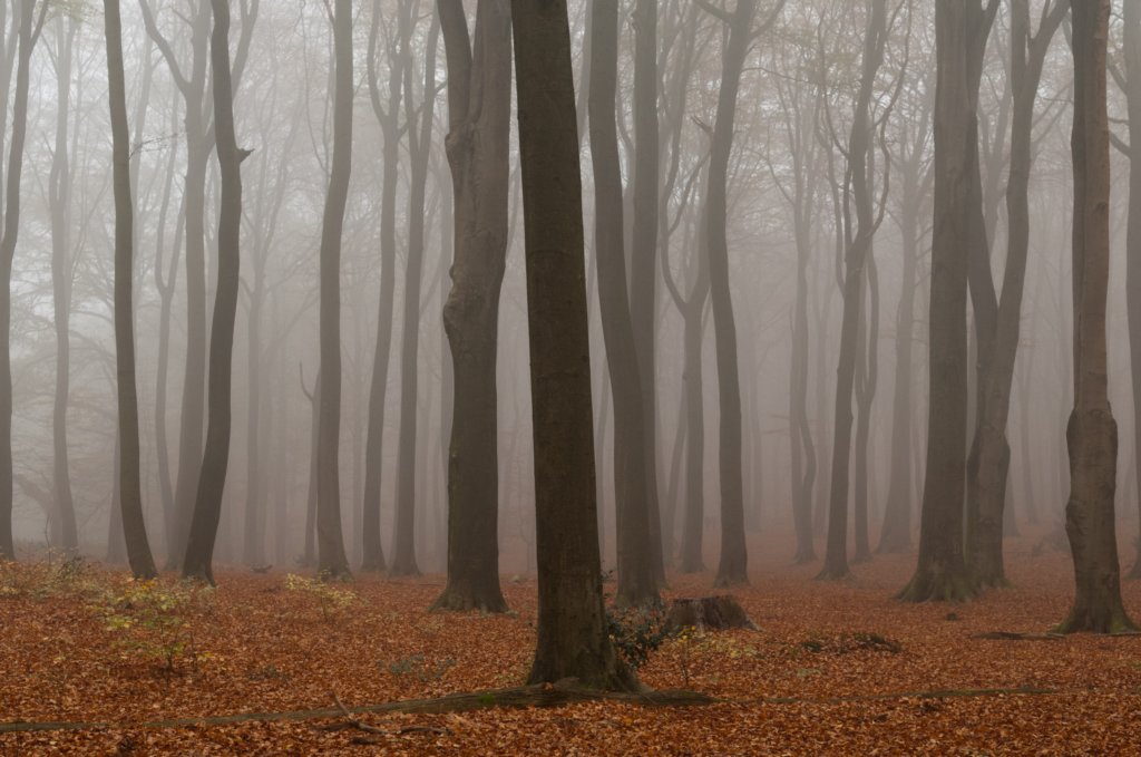 arnhem_056.jpg