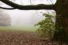 arnhem_058_small.jpg
