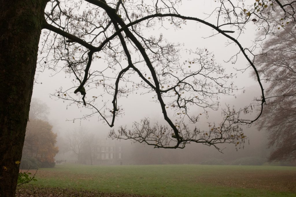 arnhem_059.jpg