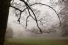 arnhem_059_small.jpg
