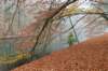 arnhem_060_small.jpg
