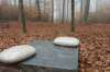 arnhem_064_small.jpg