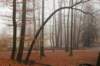 arnhem_068_small.jpg