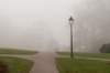 arnhem_069_small.jpg