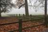 arnhem_071_small.jpg
