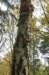 kaapsebossen_009_small.jpg