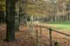 kaapsebossen_014_small.jpg