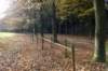 kaapsebossen_015_small.jpg