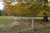 kaapsebossen_018_small.jpg