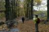 kaapsebossen_021_small.jpg