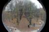 kaapsebossen_024_small.jpg