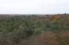 kaapsebossen_025_small.jpg