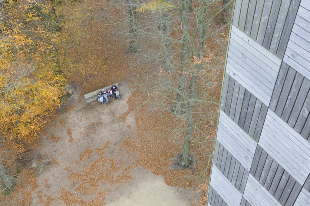 kaapsebossen_026.jpg