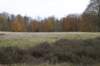 kaapsebossen_031_small.jpg