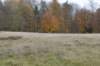 kaapsebossen_032_small.jpg